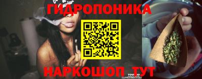 стаф Жуковский